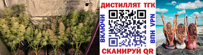 Дистиллят ТГК THC oil  что такое   гидра зеркало  Свободный 