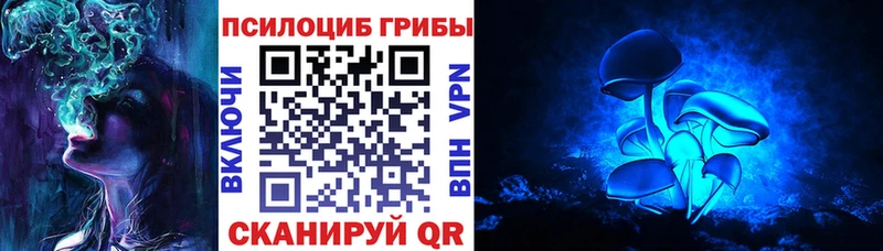 Псилоцибиновые грибы мицелий  блэк спрут ONION  Свободный 